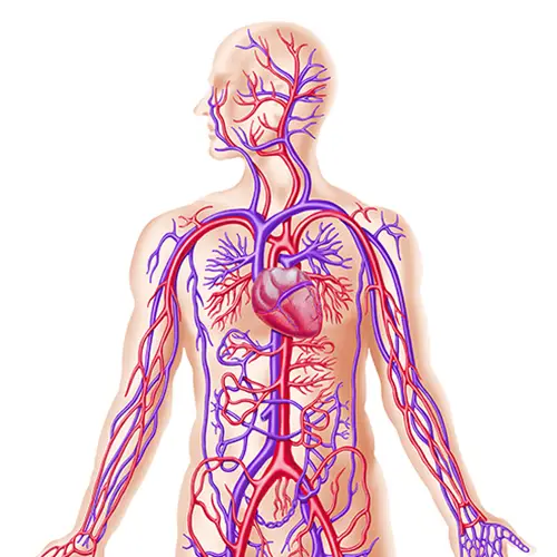 Vaatsysteem 500x500
