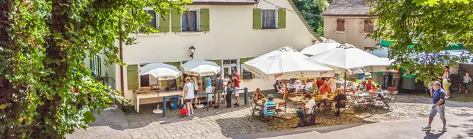 Steinbruchlein